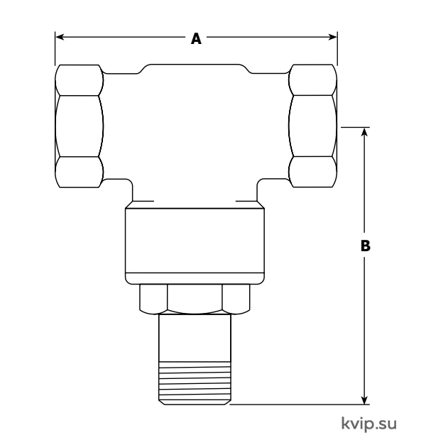 BX_5 BX_5